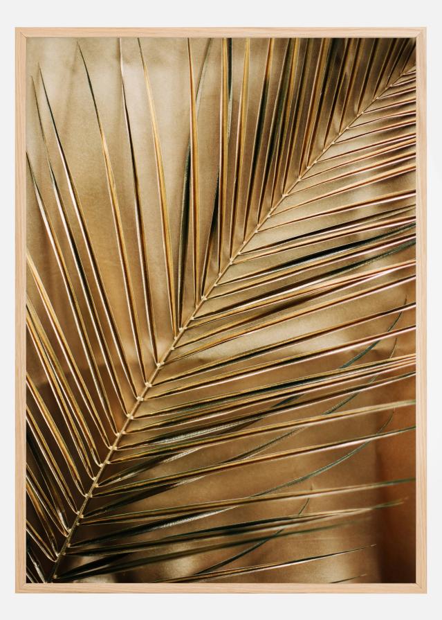 Golden Palm Poszter