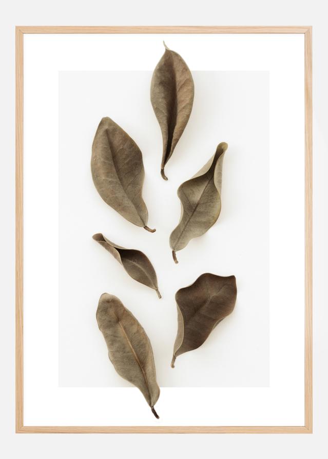 Dried Leaves Poszter