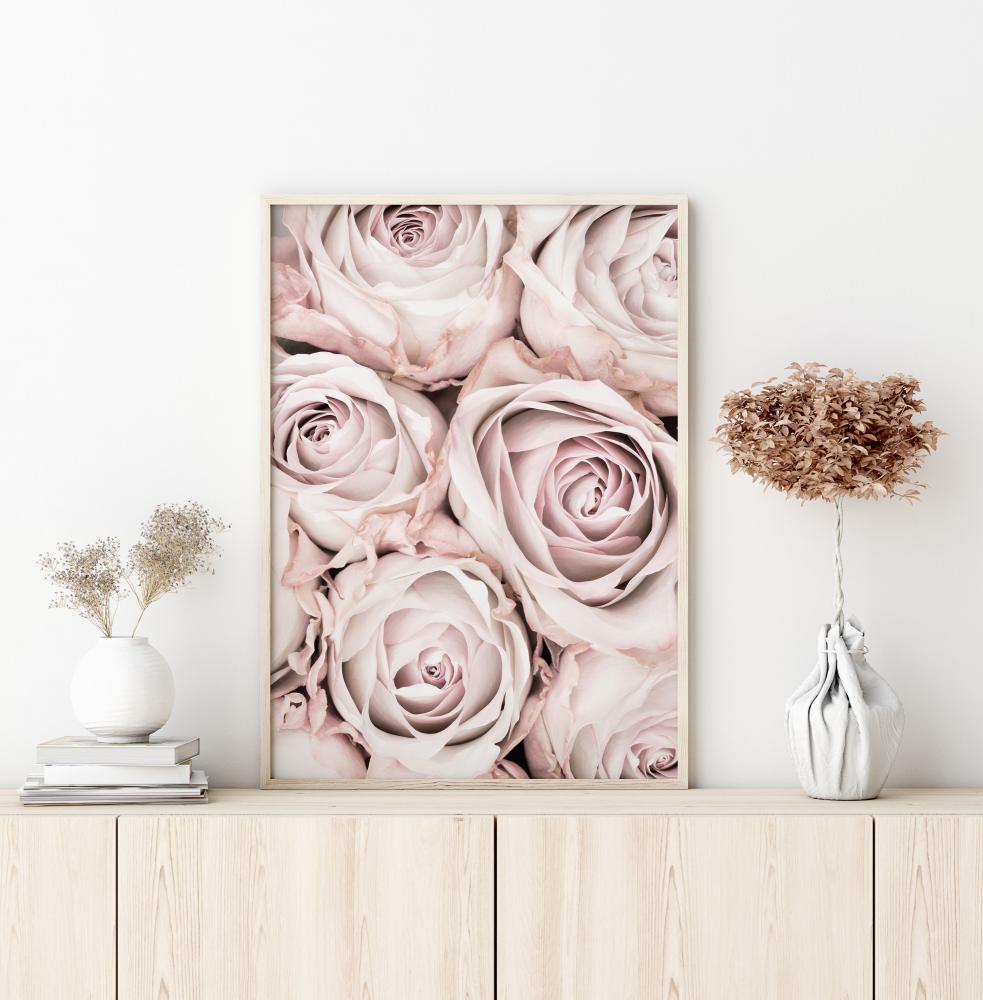 Pink Roses Poszter