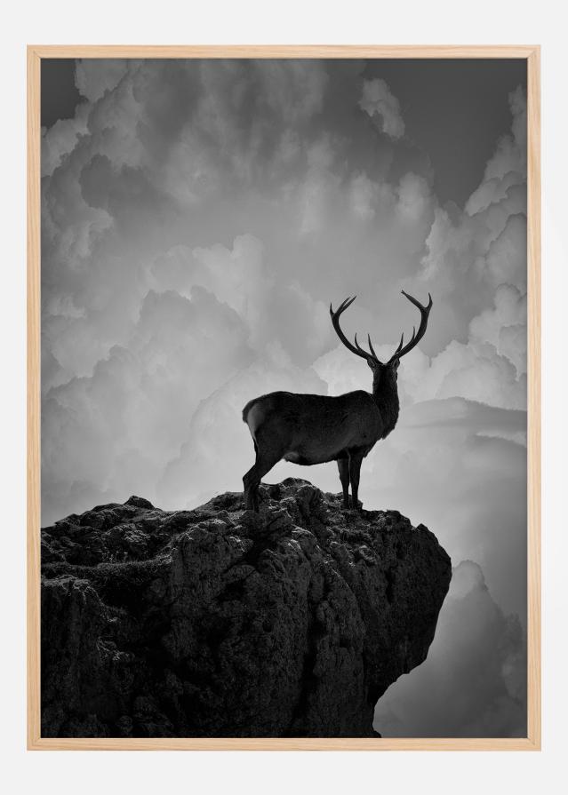 Black and White Deer Poszter