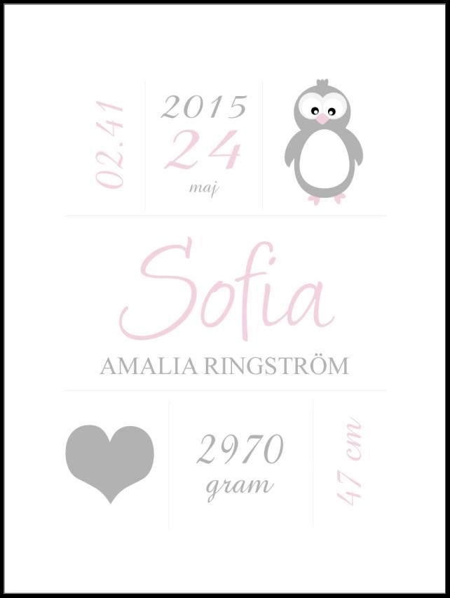 Penguin Birth Poszter Pink