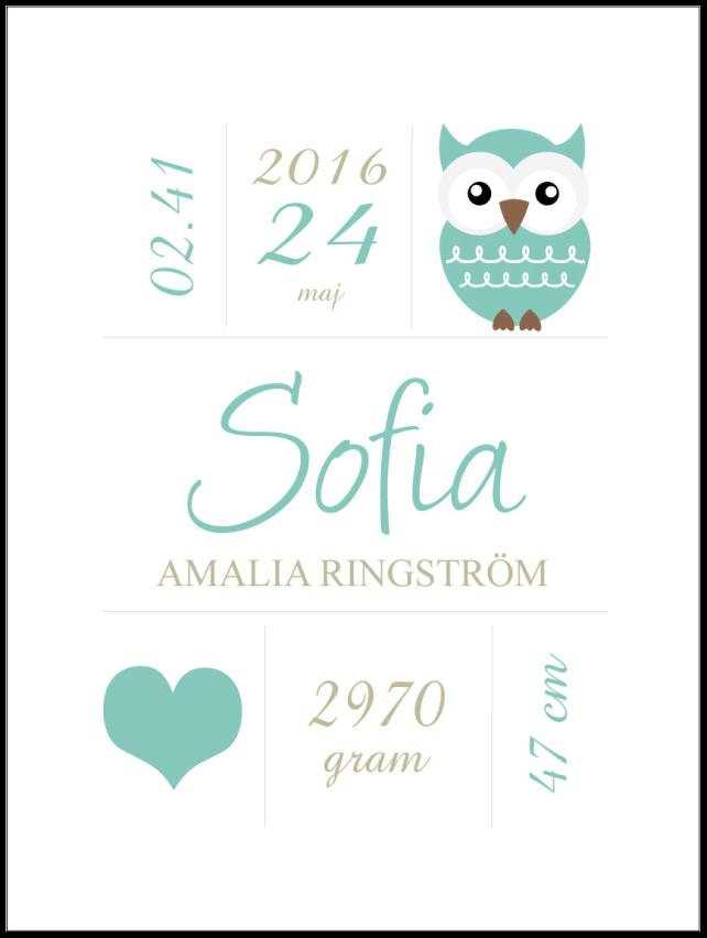 Owl Birth Poszter Turquoise