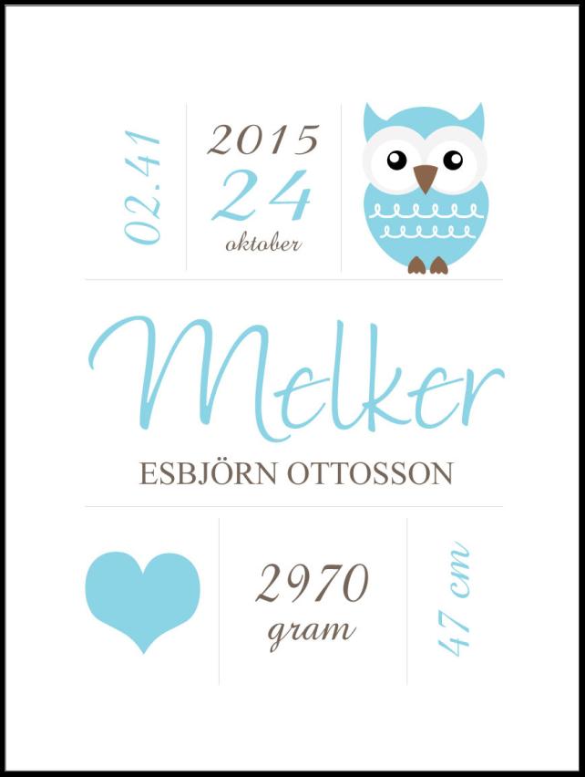 Owl Birth Poszter Blue