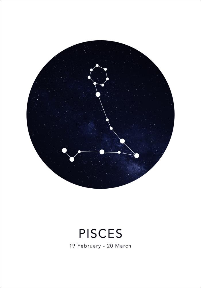 Pisces Poszter