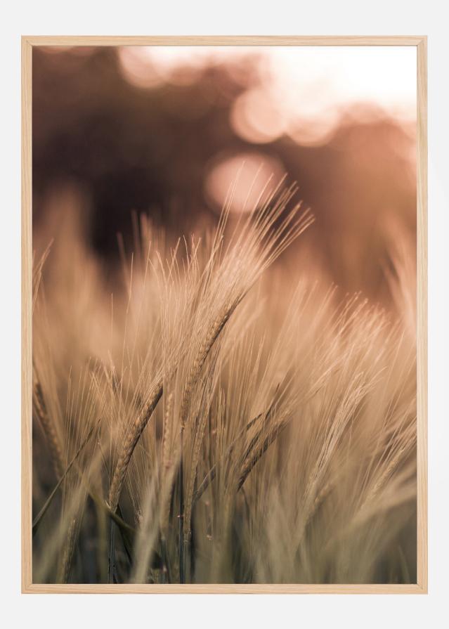 Wheat Fields I Poszter