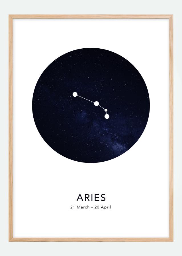 Aries Poszter