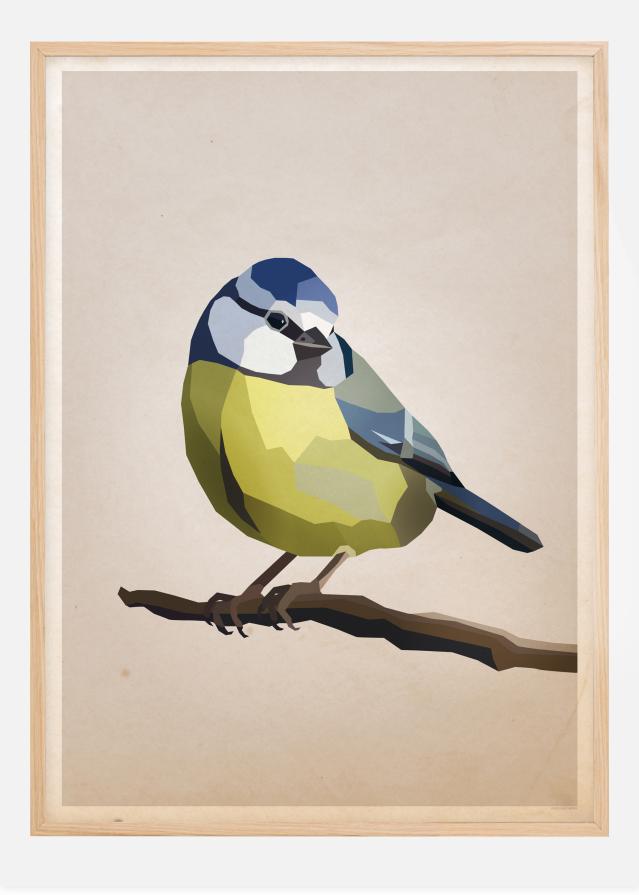 Blue tit Poszter