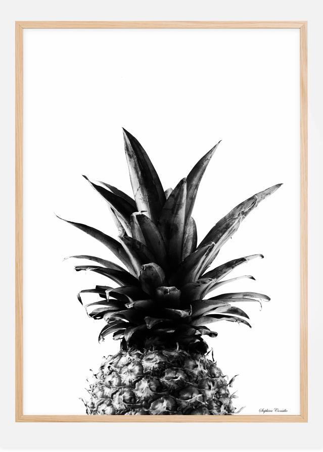 Pineapple B&W Poszter