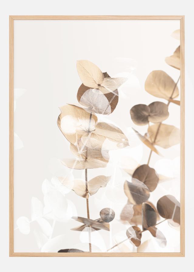 Eucalyptus Creative Gold I Poszter