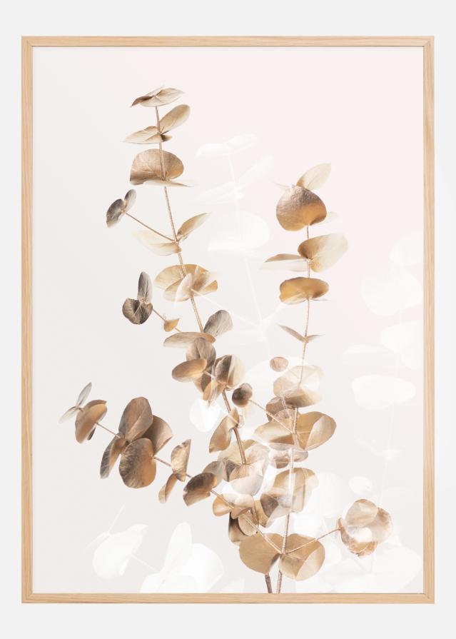 Eucalyptus Creative Gold II Poszter