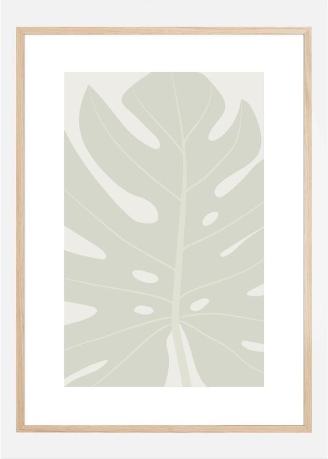 MONSTERA Poszter