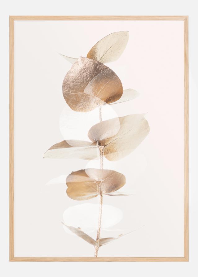 Eucalyptus Creative Gold III Poszter