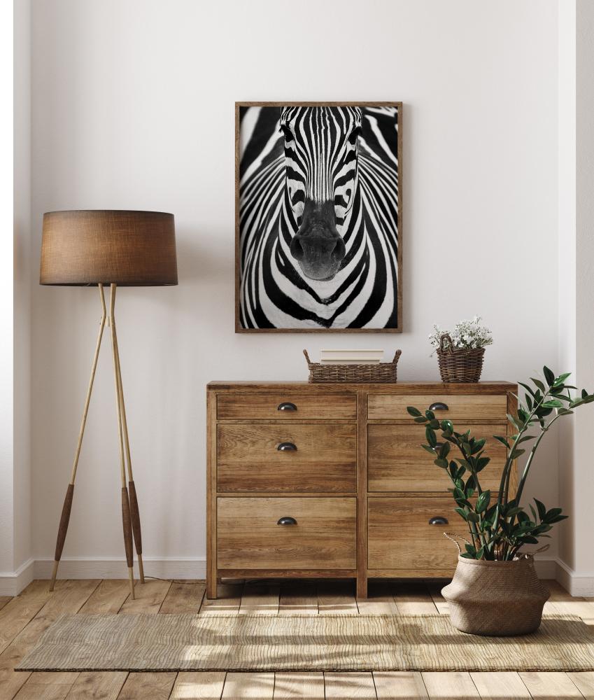 Zebra Poszter