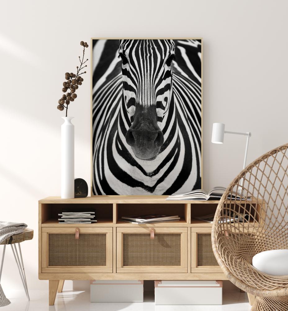 Zebra Poszter