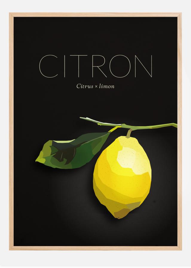 Citron Poszter