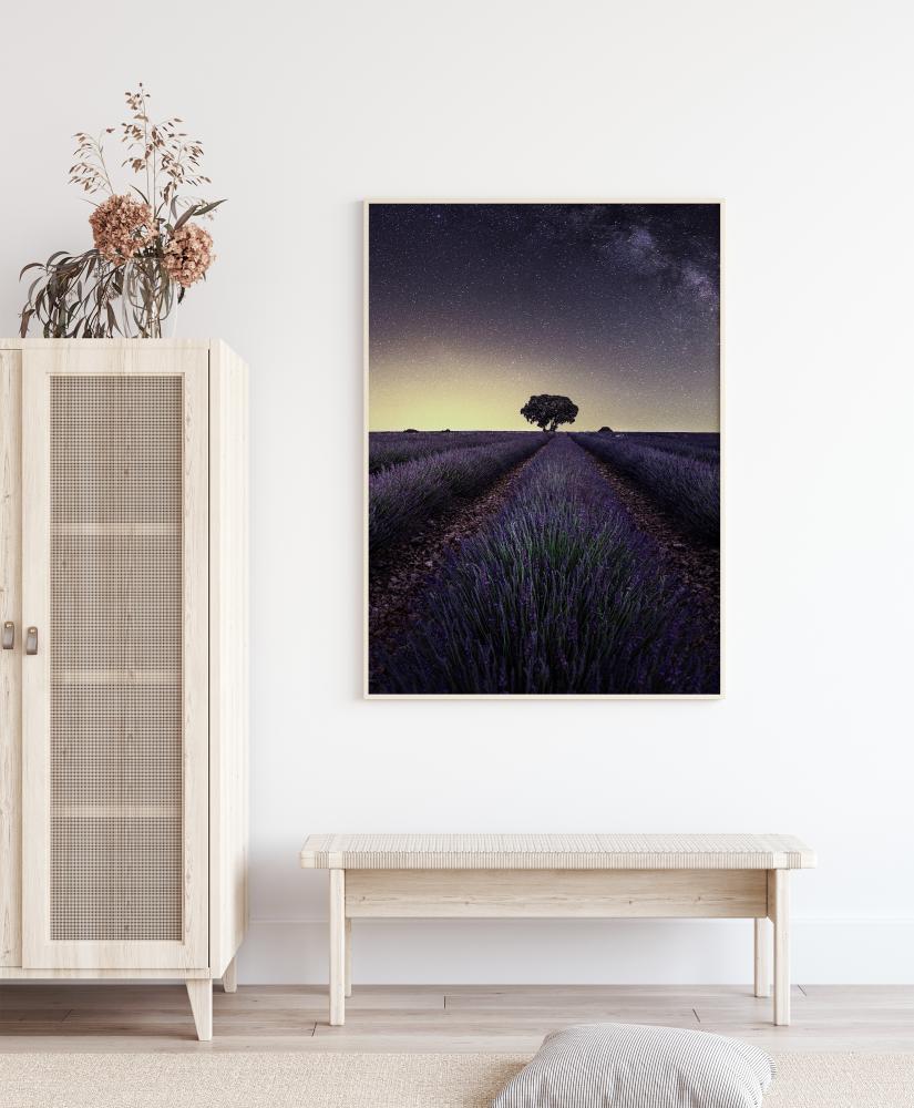 Lavender Fields Poszter