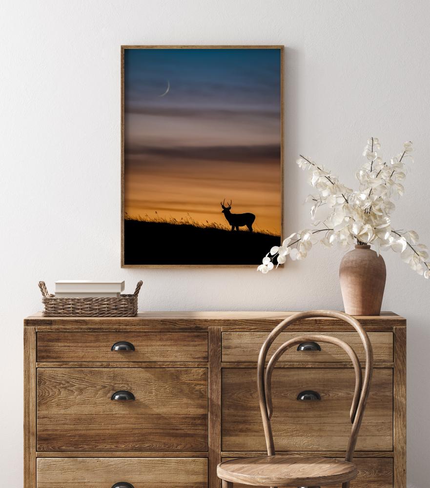 Deer In Sunset Poszter