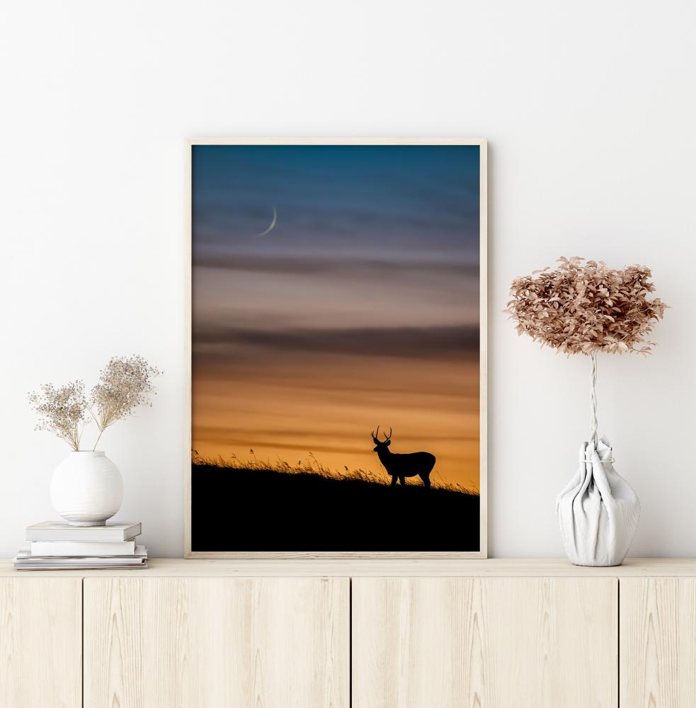 Deer In Sunset Poszter