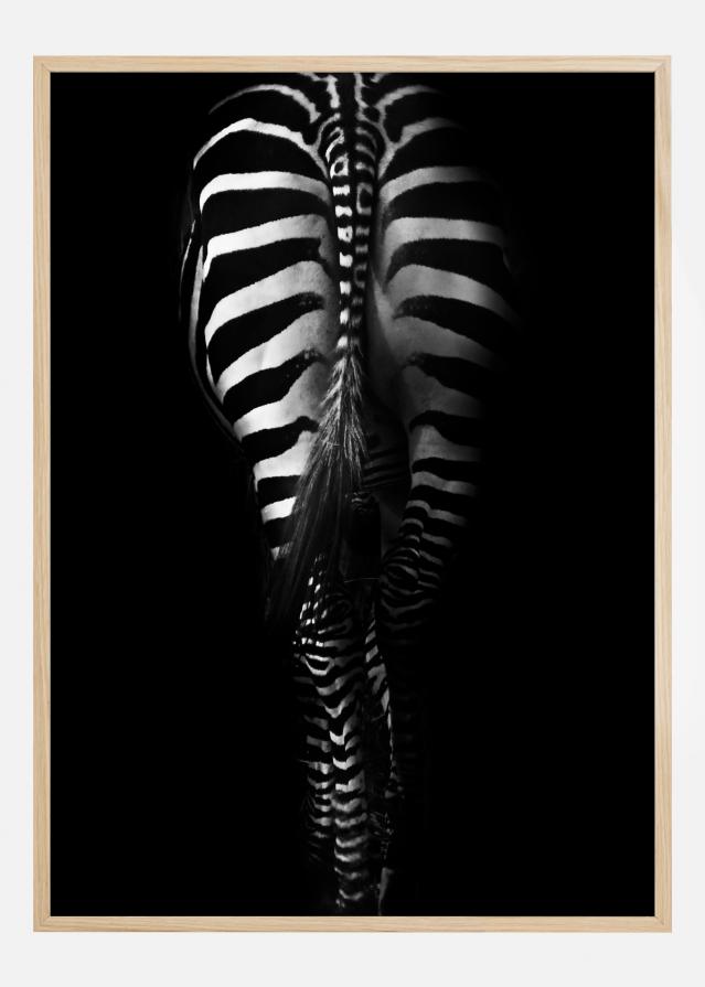 Zebra Tail Poszter