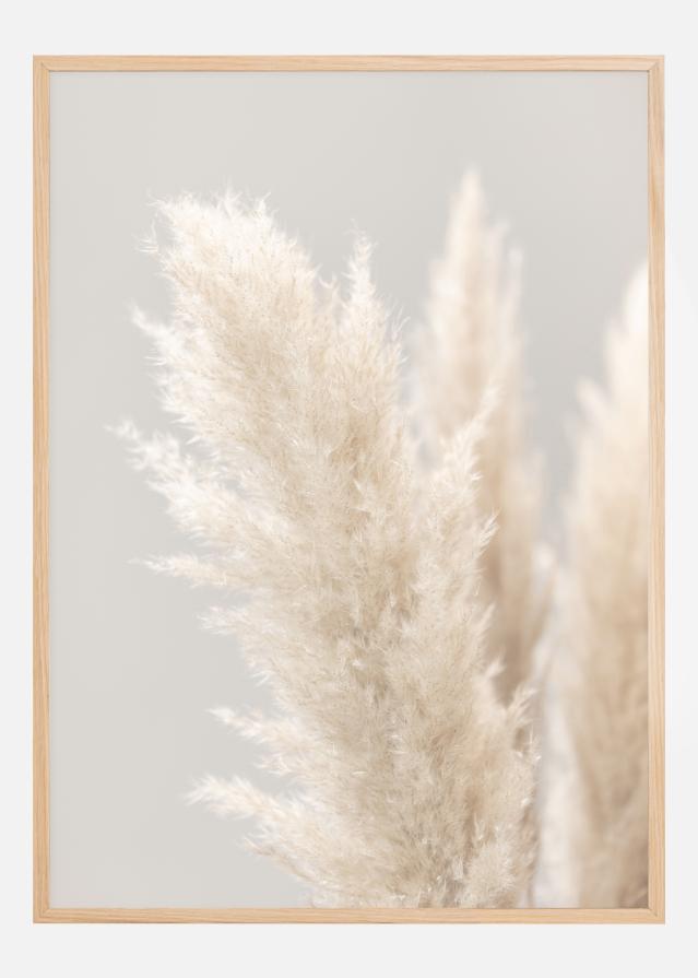 Pampas Grass IIII Poszter