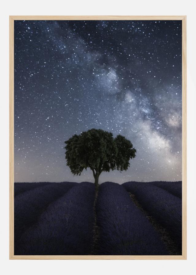 Tree And Milky Way Poszter