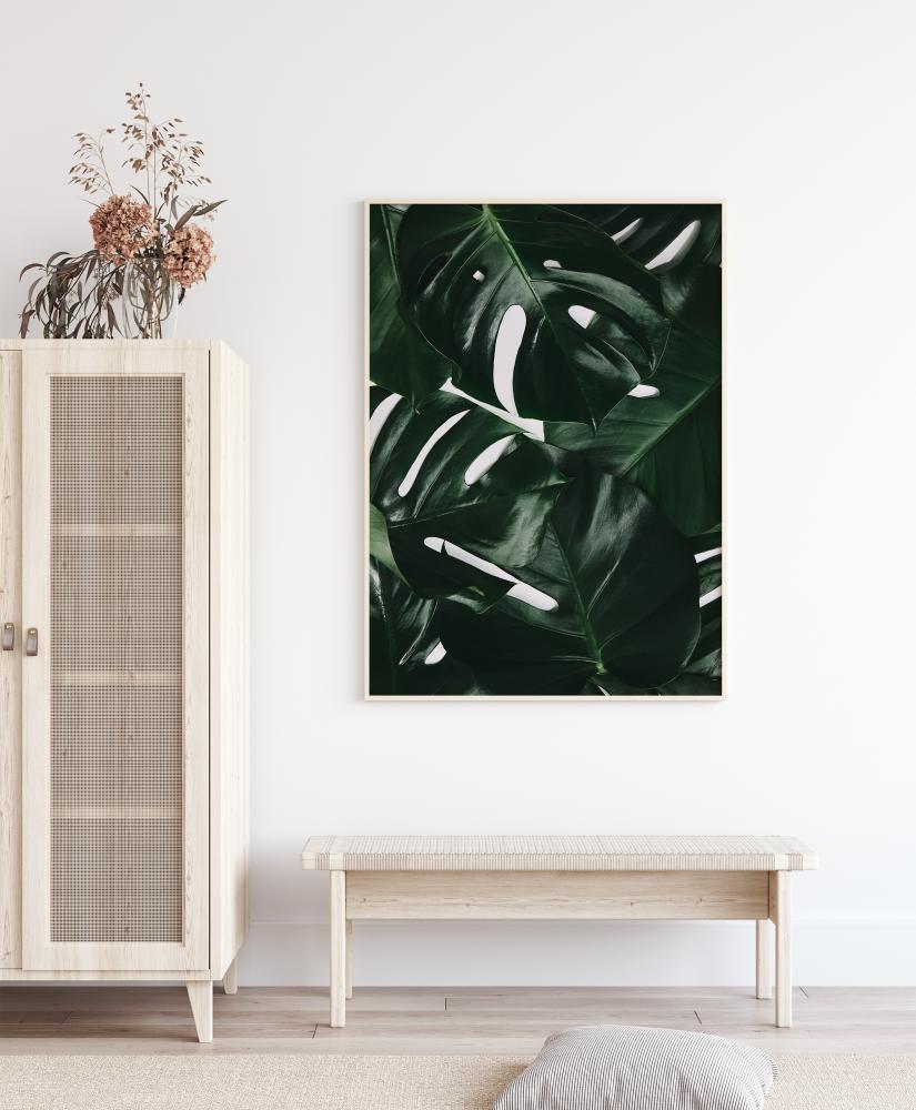 Monstera Plant I Poszter