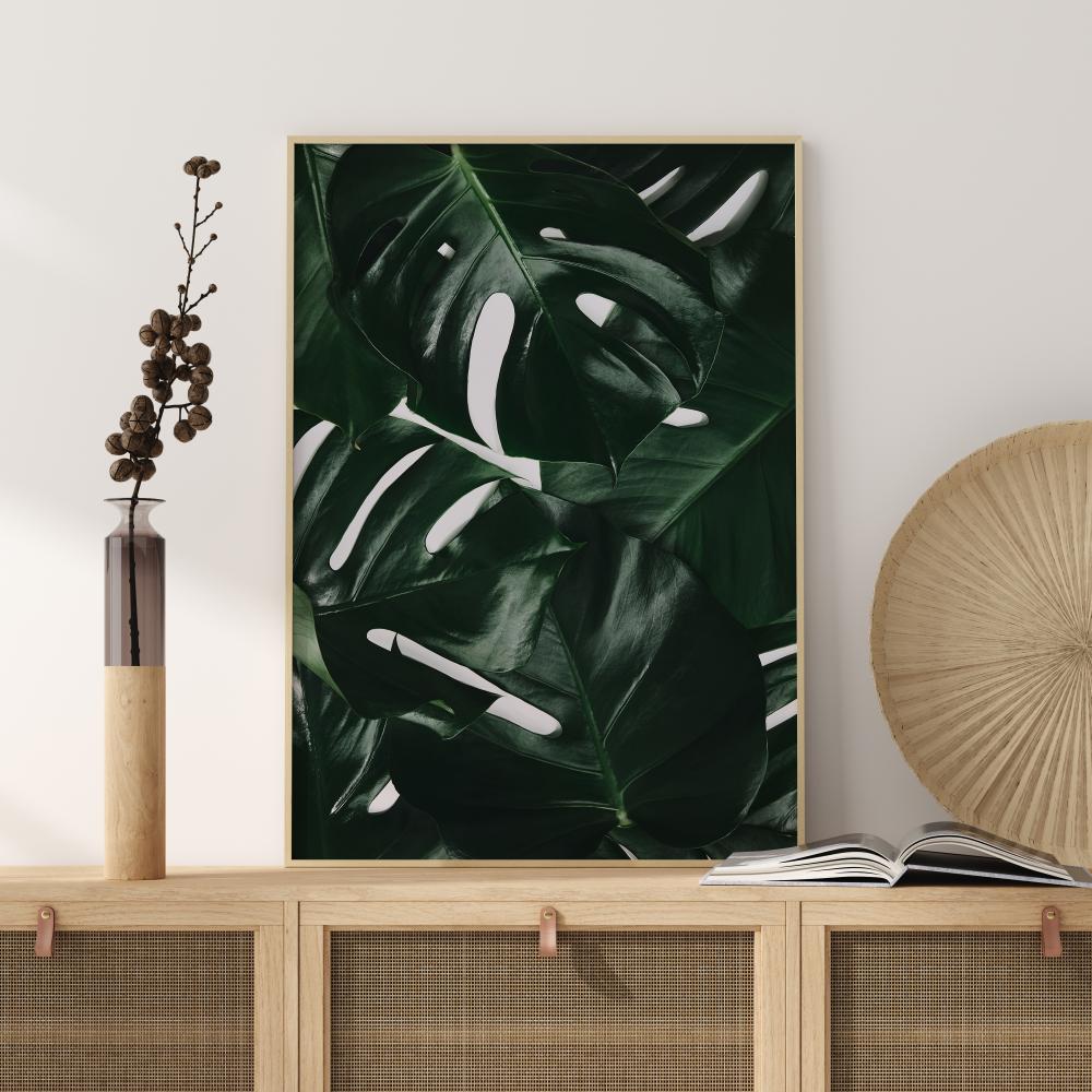 Monstera Plant I Poszter