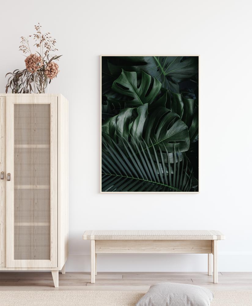 Monstera Plant II Poszter