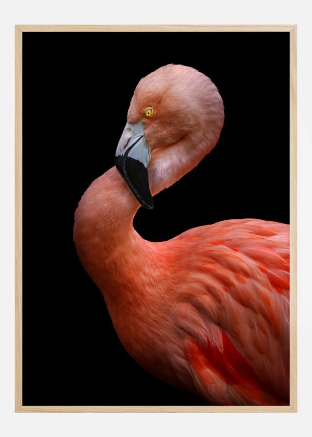 Flamingo at night Poszter