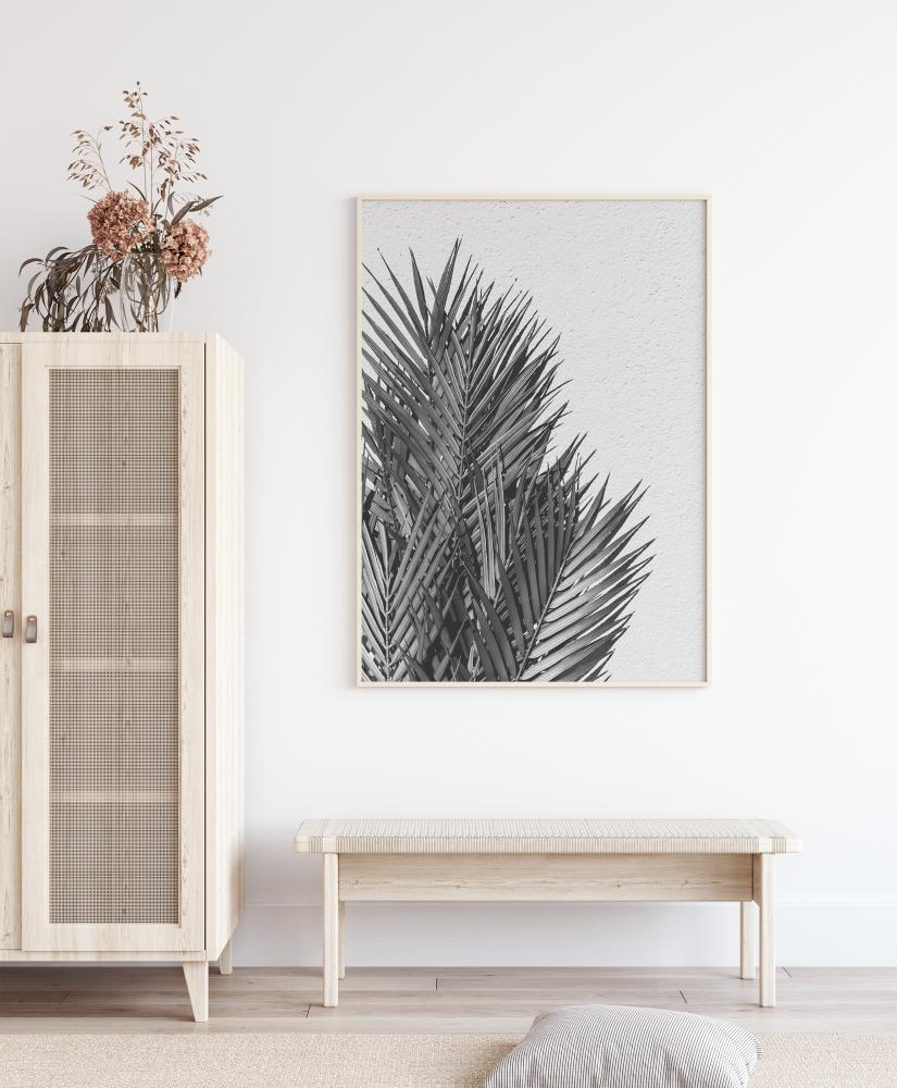 Palm Leaves Poszter