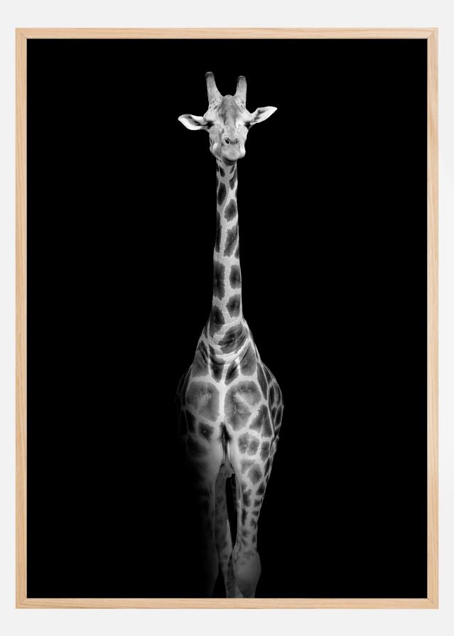 Stunning giraffe Poszter