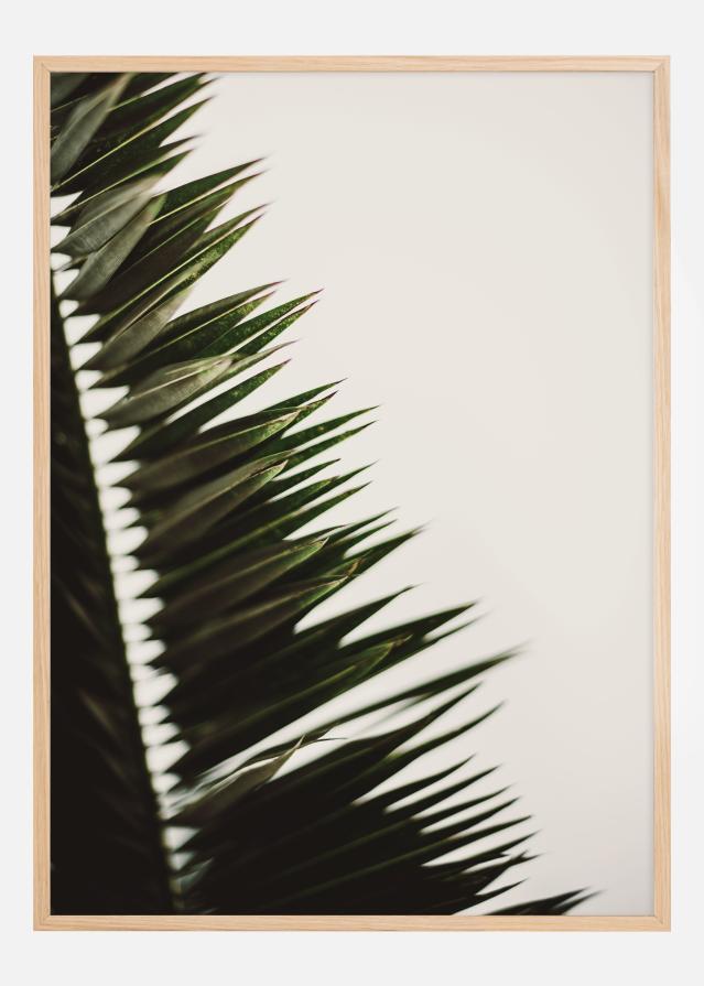 Palm Branches Poszter