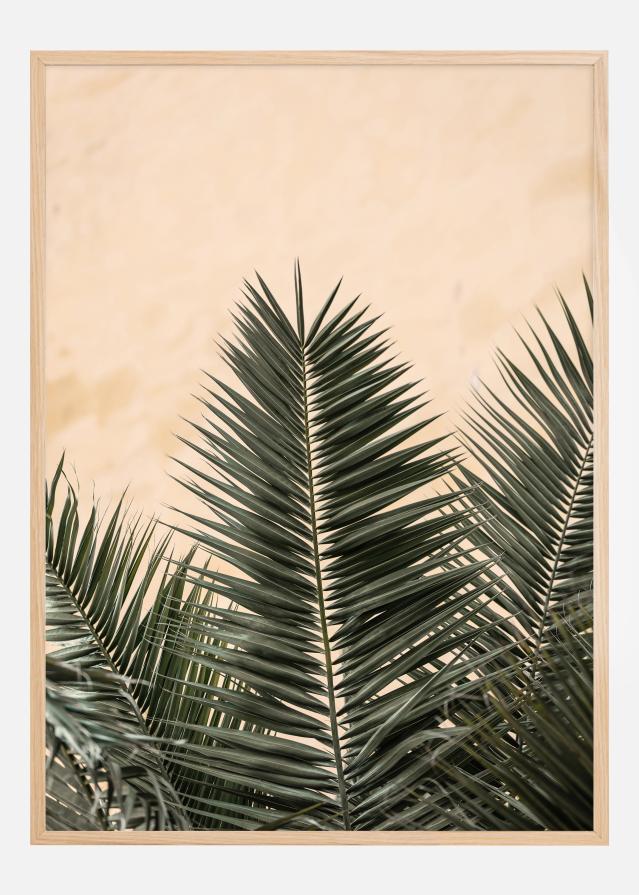 Palm leaves and wall Poszter