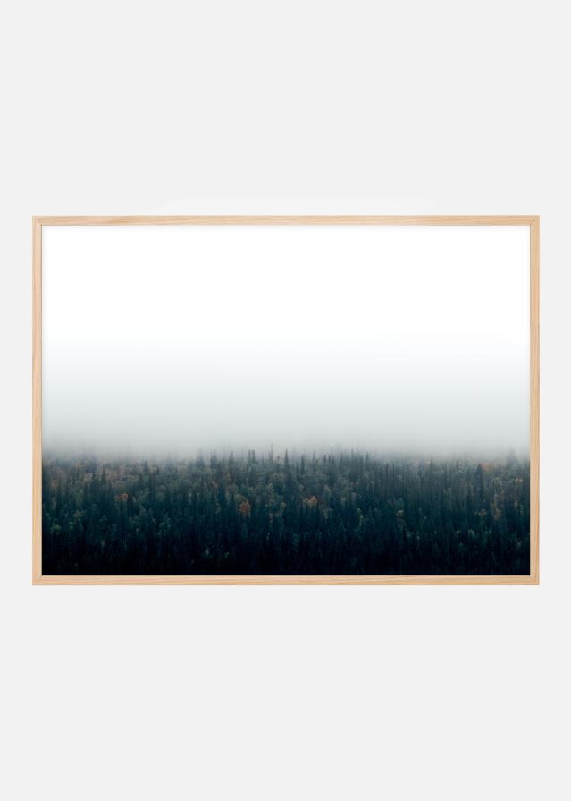 Forests in fog Poszter