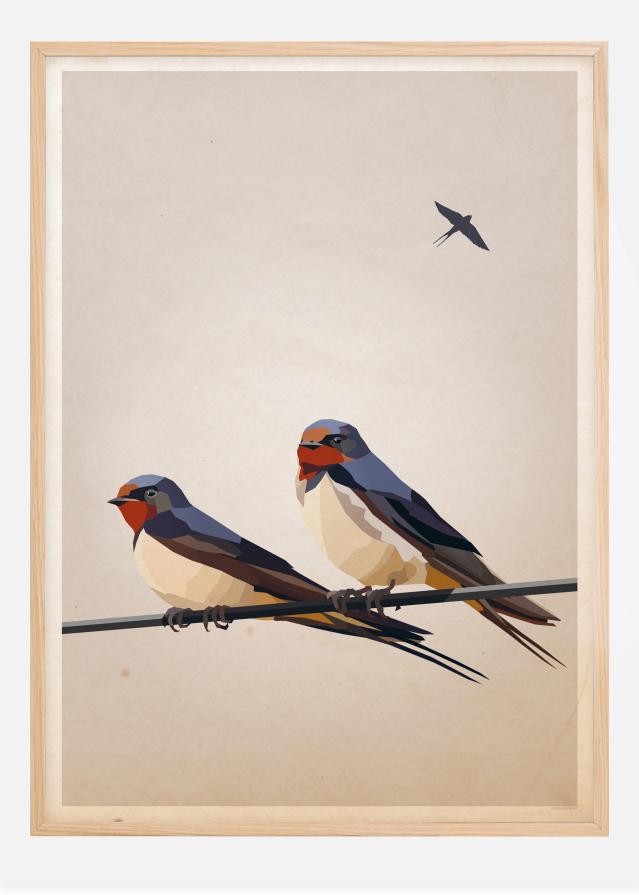 Swallows Poszter