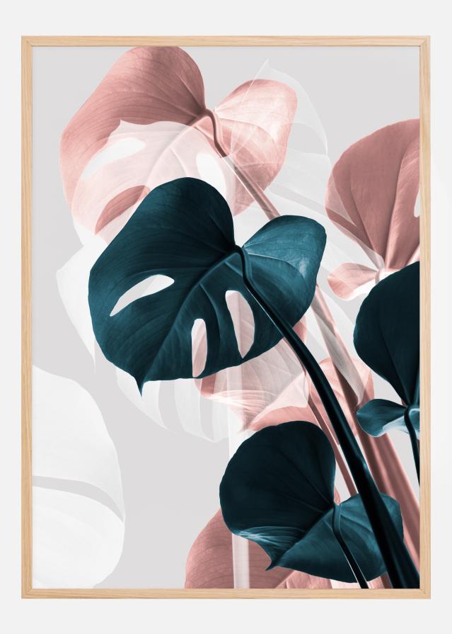 Monstera Creative III Poszter