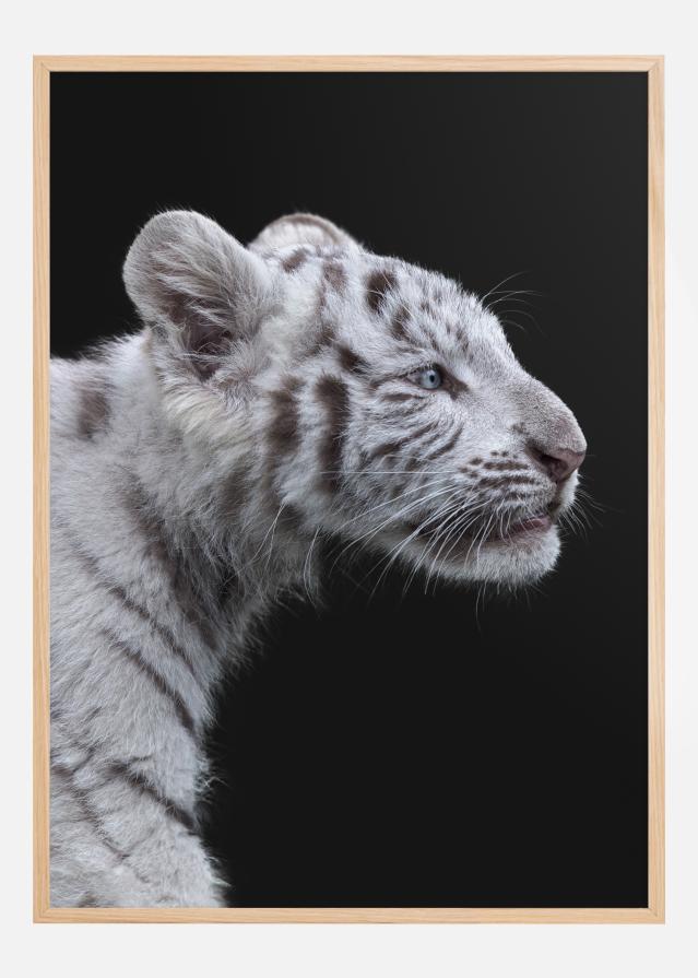 White tiger Poszter