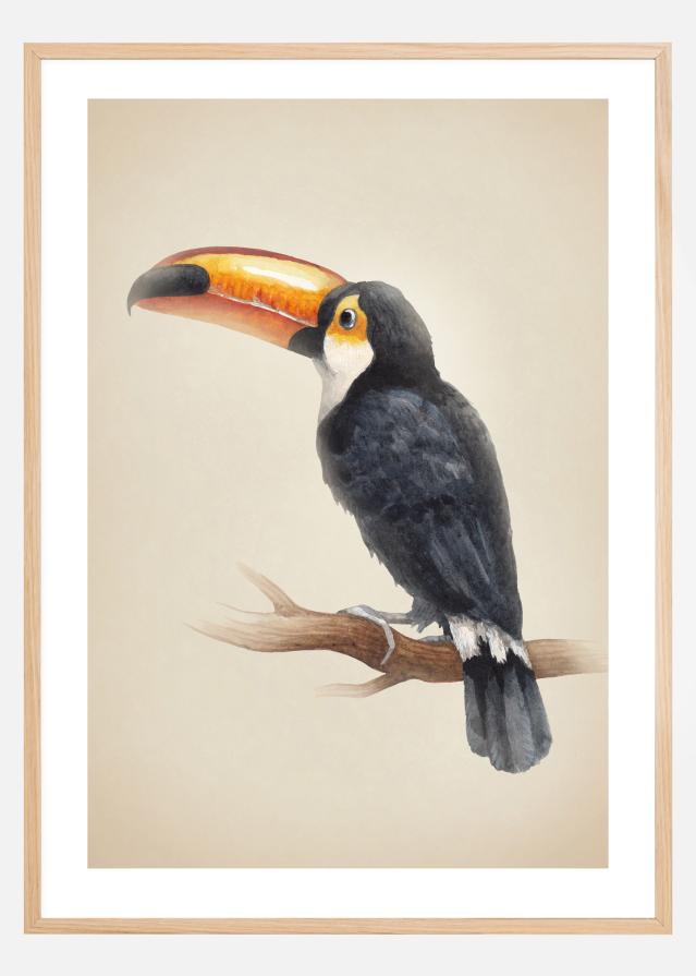 Tropical Toucan Poszter