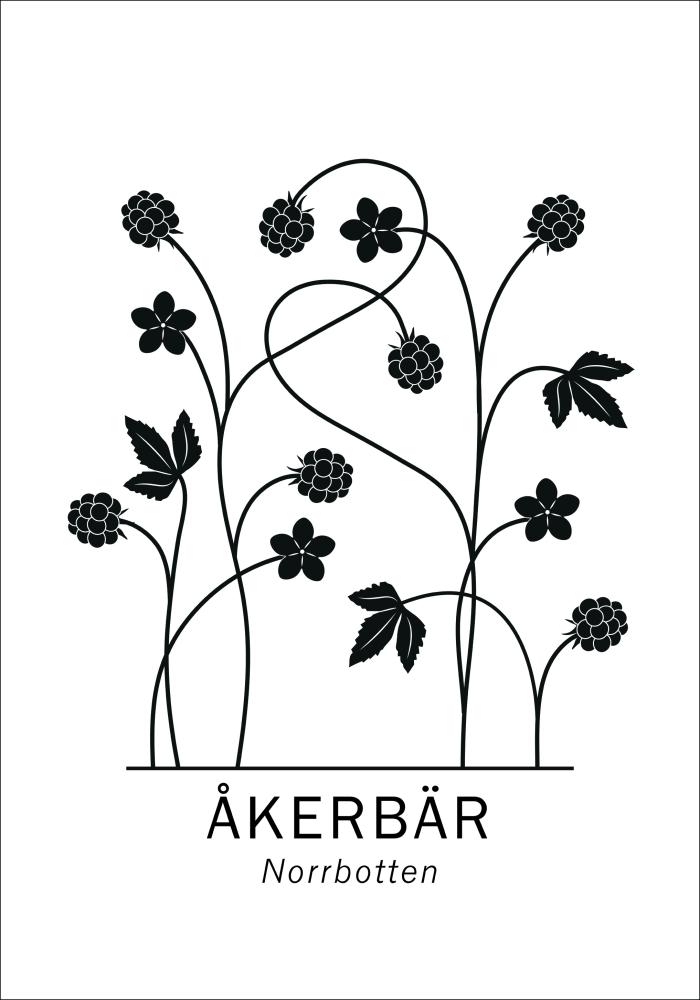 Åkerbär - Norrbotten Poster