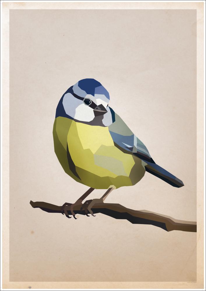 Blue tit Poszter