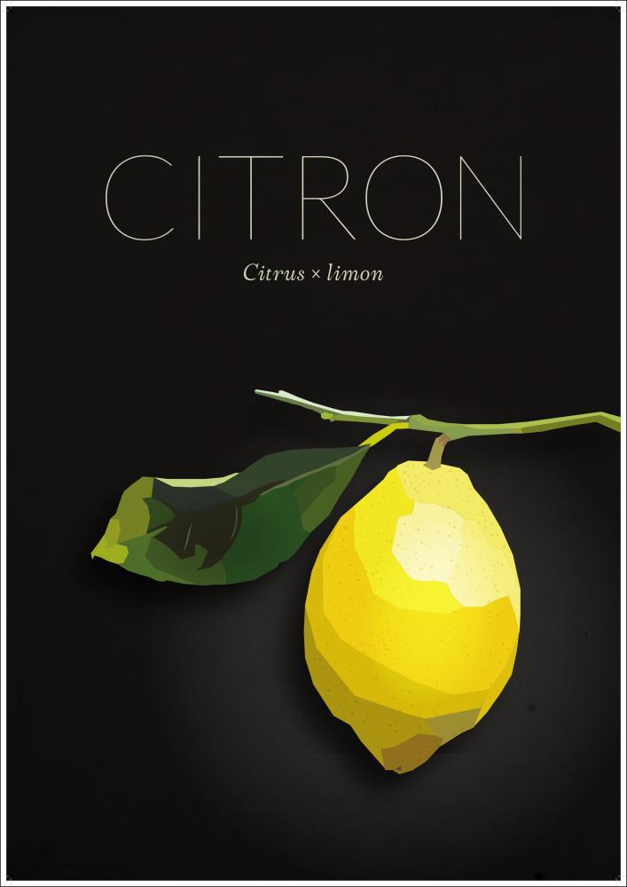 Citron Poszter