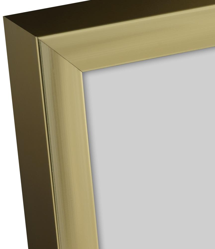 Keret Poszter Frame Aluminum Gold 70x100 cm - Paszpartu Fekete 24x36 inches