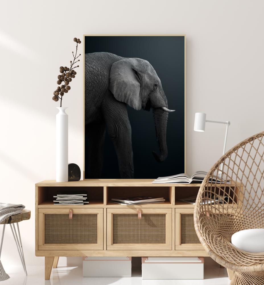 Namibian Elephant Poszter