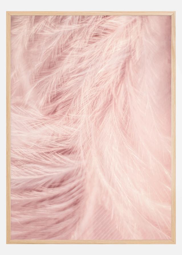 Pink Feathers Poszter