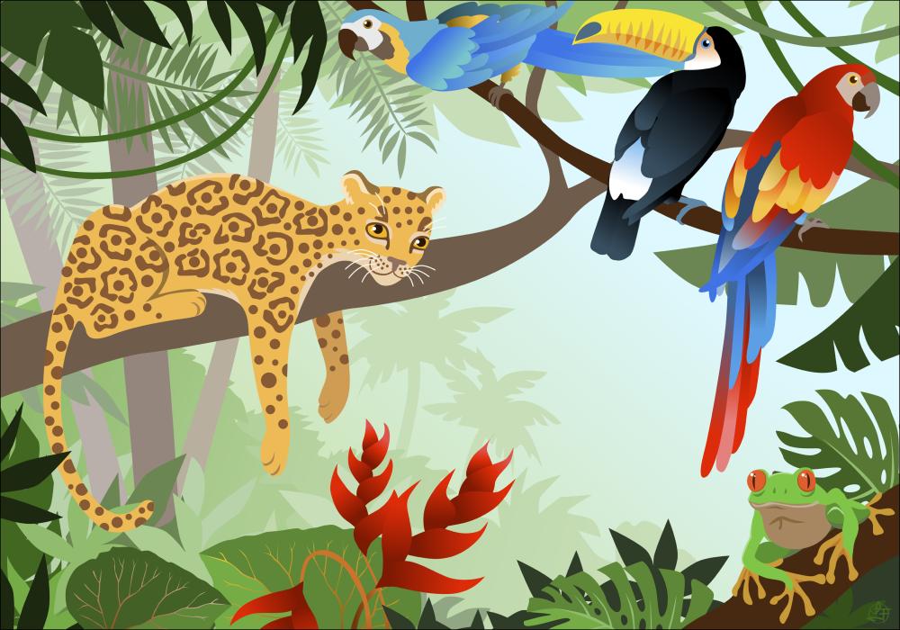 Jungle Animals Poszter