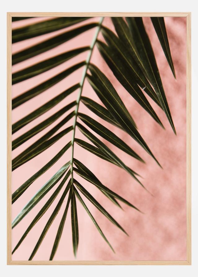 Pink pastell palm Poszter