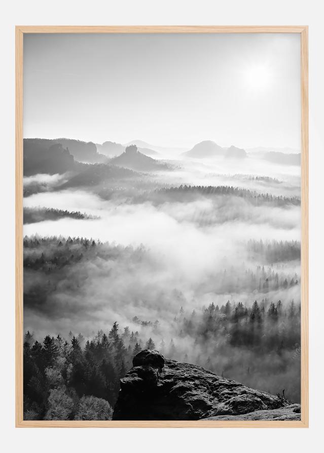 Foggy Forest Black & White I - 50x70 cm Poszter