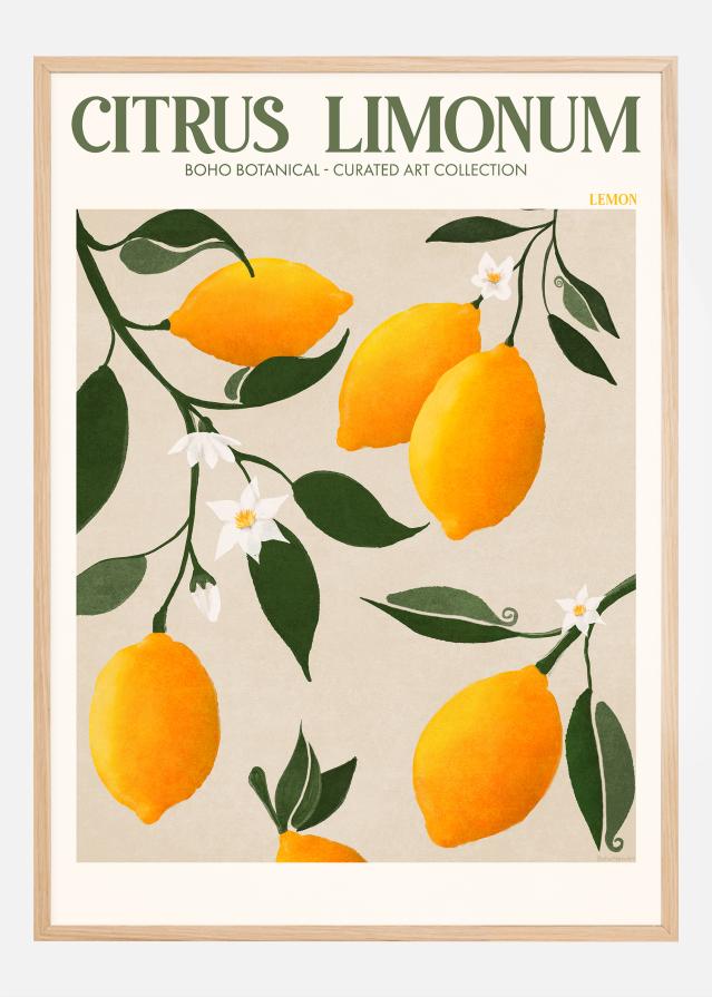 Boho Citrus Limonum Poszter