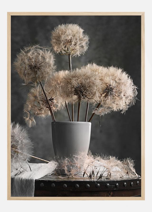 Dandelion Seed Pod Poszter