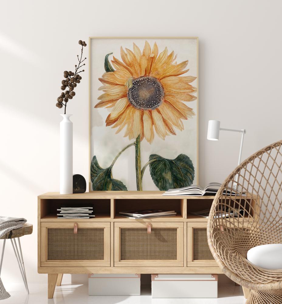 Sunflower Art Poszter